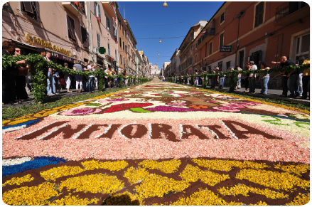 Infiorara di Spello